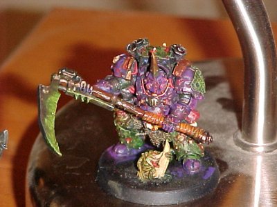 typhus-new.jpg